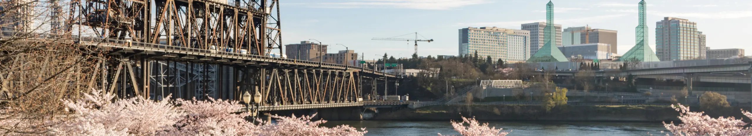 Steel Bridge, Portland, Oregon