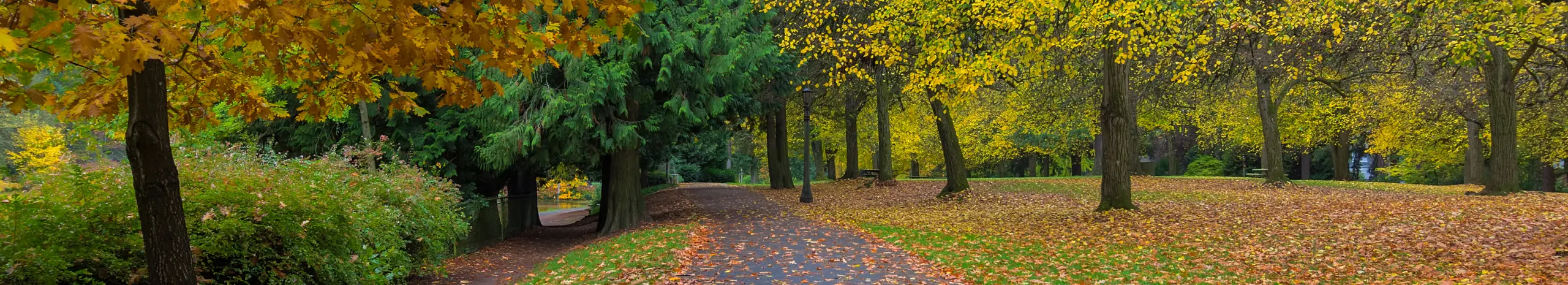 Laurelhurst Park in the Fall, Portland, Oregon